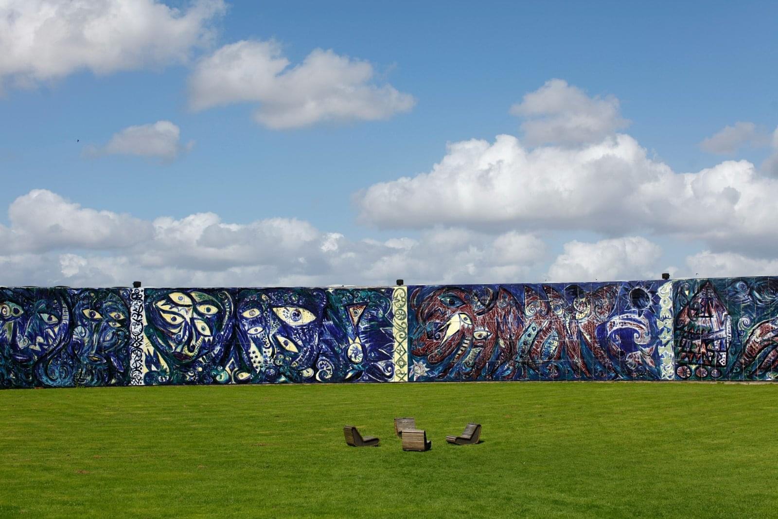 A grassy field with a wall covered in graffiti
